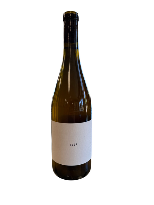 2023 Wild Arc Farm ‘Luca’, Skin Contact Traminette, Finger Lakes, New York