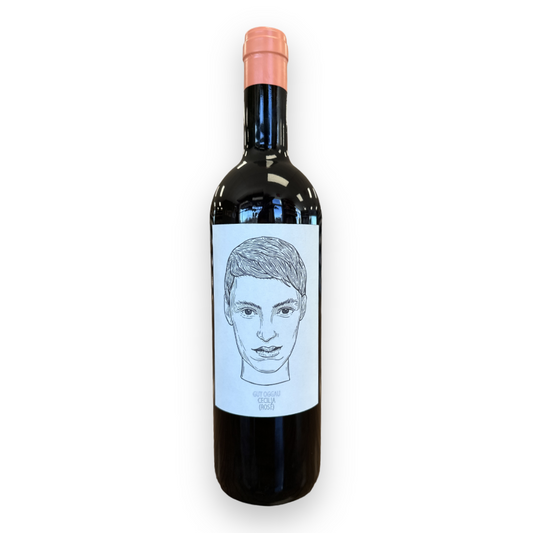 2022 Gut Oggau ‘Cecilia’ Gemischter Satz Rosé | Burgenland, Austria